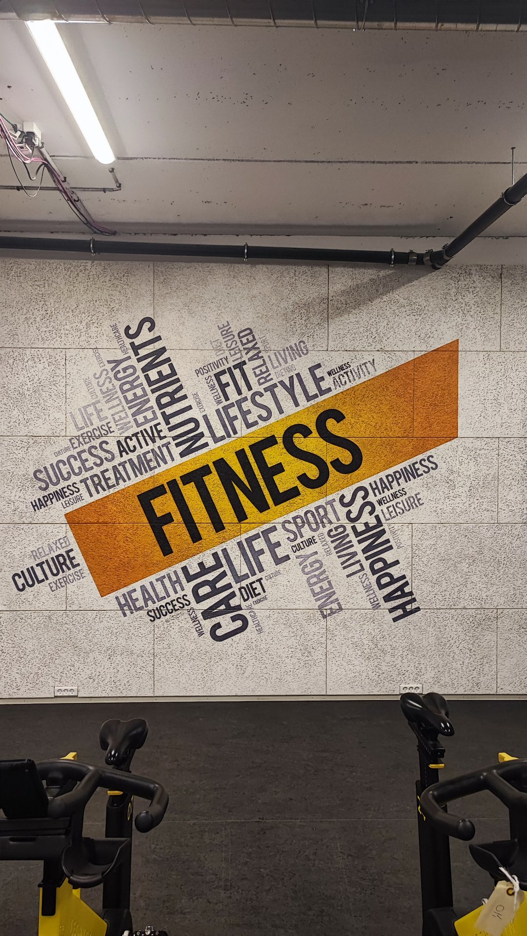 Vægprint i virksomhedens fitnessområde – vægprint (Virksomhed)