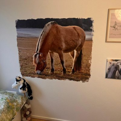 Hest